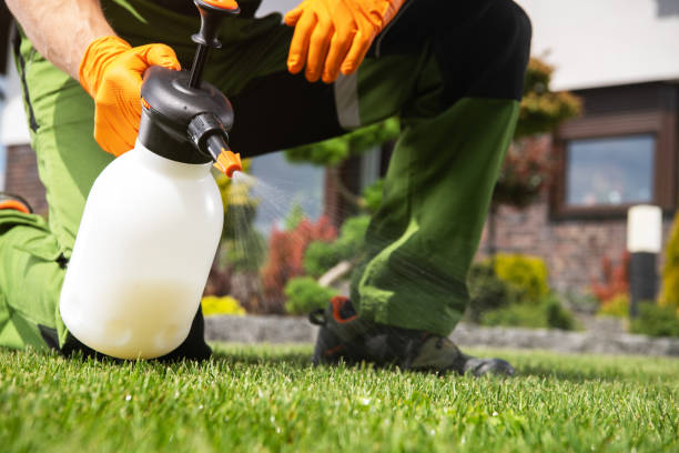 Best Termite Control Services  in Fowler, CA