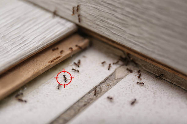 Best Pest Prevention Services  in Fowler, CA