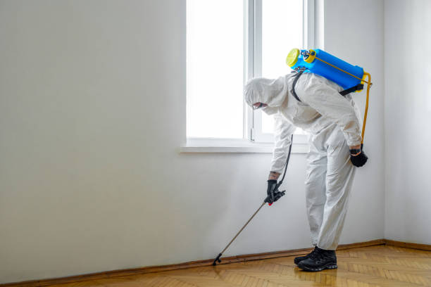 Trusted Fowler, CA Pest Control Experts