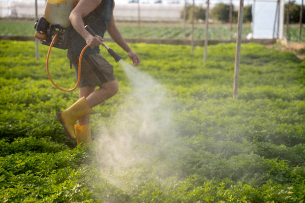 Best Best Pest Control Companies  in Fowler, CA