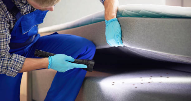 Wasp Removal Services in Fowler, CA